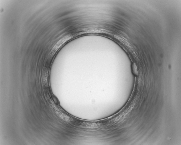 X0000086881273200705141401