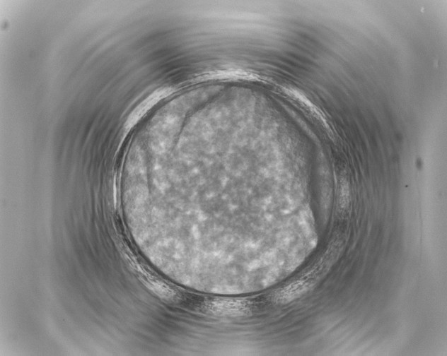 X0000086881274200705141401