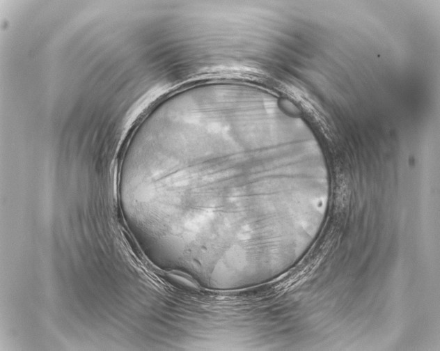 X0000086881275200705141401