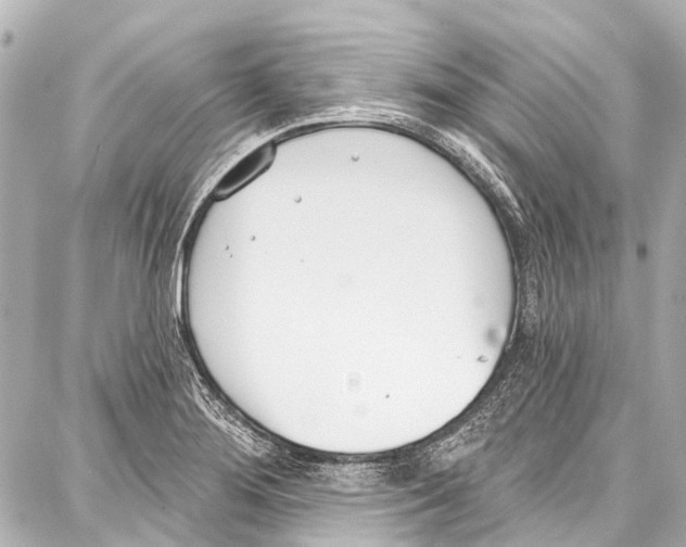 X0000086881276200705141401