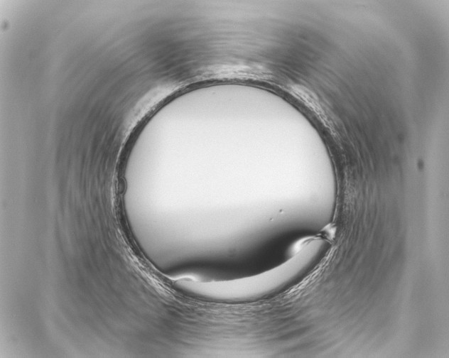 X0000086881277200705141401