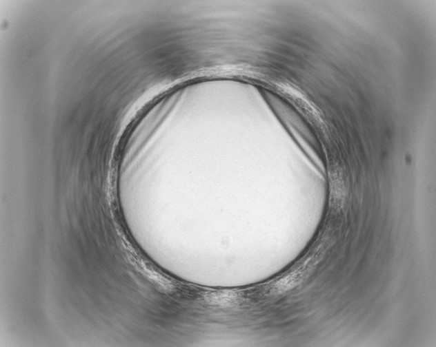 X0000086881278200705141401