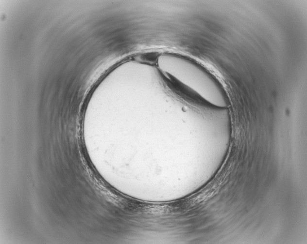 X0000086881279200705141401