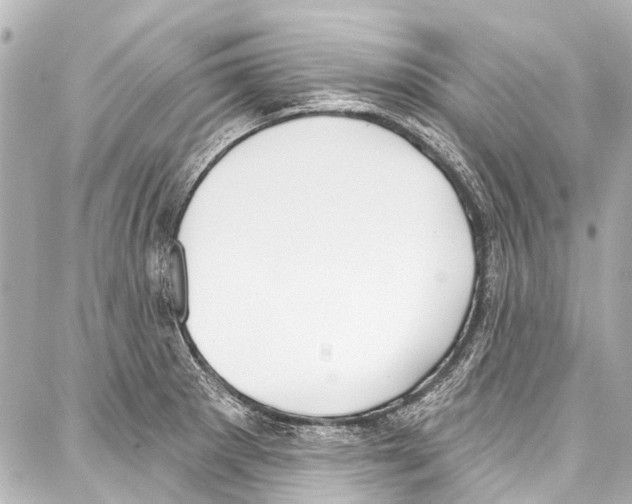 X0000086881281200705141401