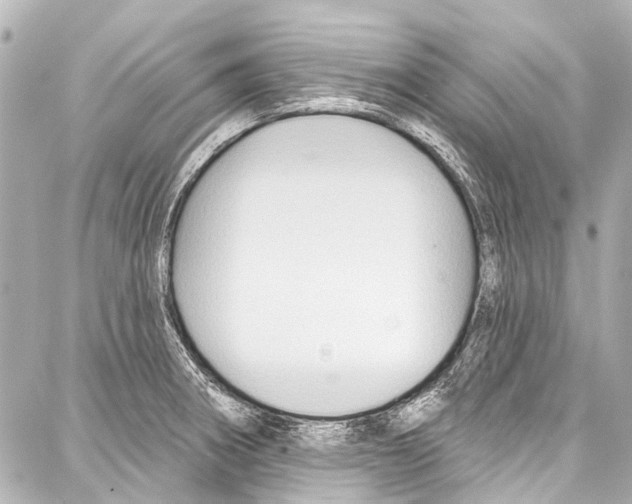 X0000086881282200705141401