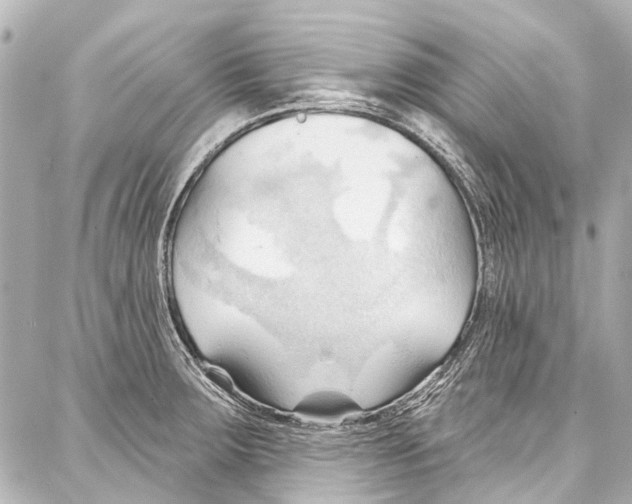 X0000086881283200705141401