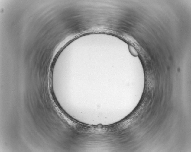 X0000086881286200705141401