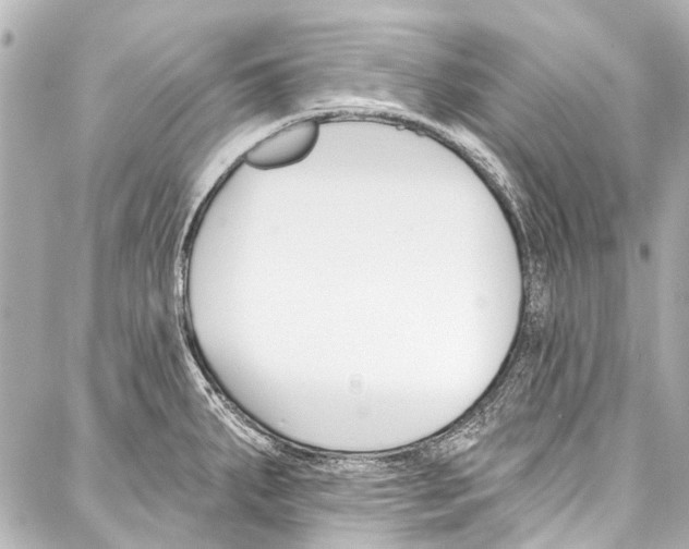 X0000086881287200705141401