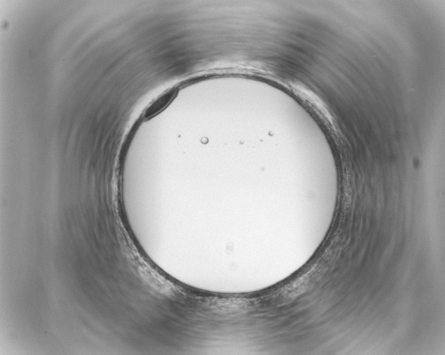 X0000086881288200705141401