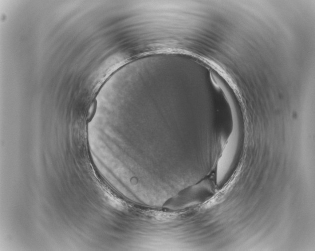 X0000086881289200705141401