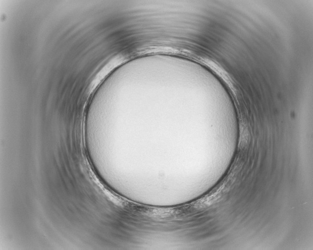 X0000086881290200705141401