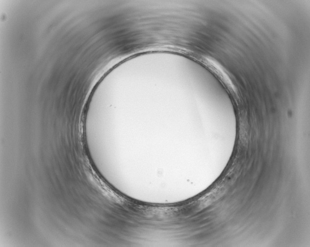 X0000086881292200705141401