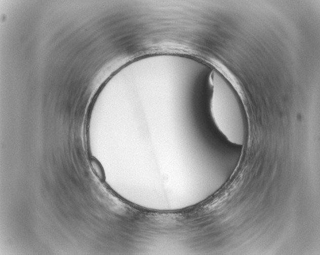 X0000086881293200705141401