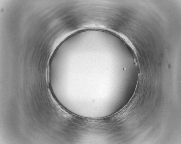 X0000086881295200705141401