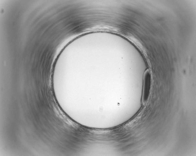 X0000086881296200705141401