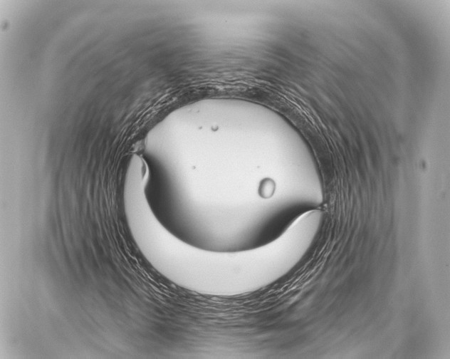 X0000086881298200705141400