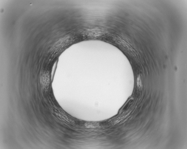 X0000086881299200705141400