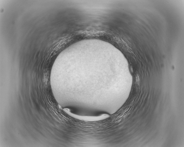 X0000086881300200705141400