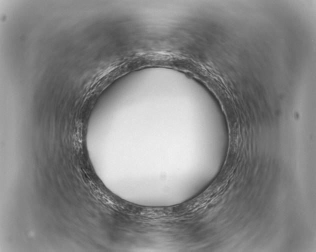 X0000086881301200705141400