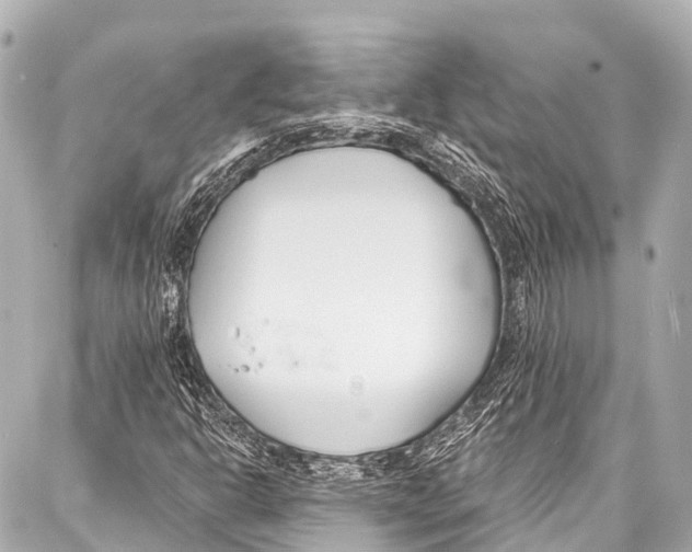 X0000086881302200705141400