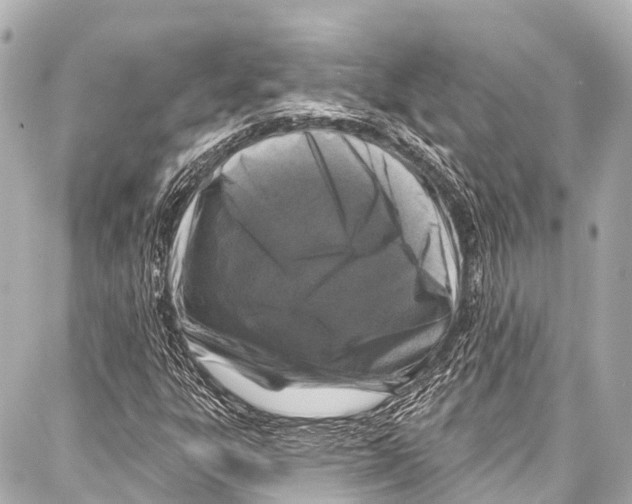 X0000086881303200705141400