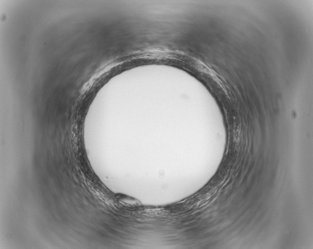 X0000086881304200705141400