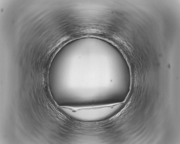 X0000086881305200705141400