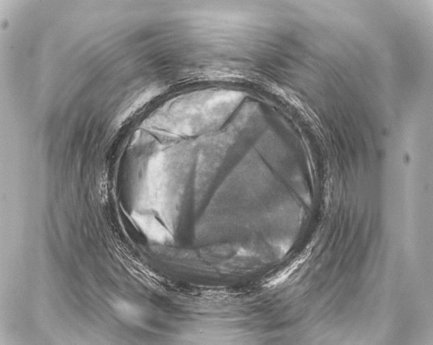 X0000086881306200705141400