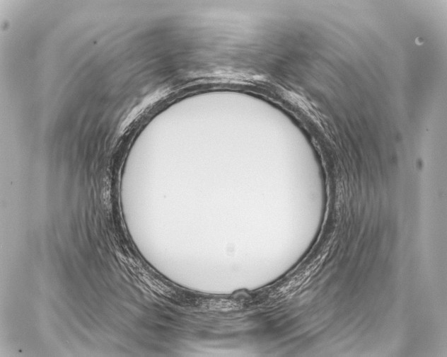 X0000086881307200705141400