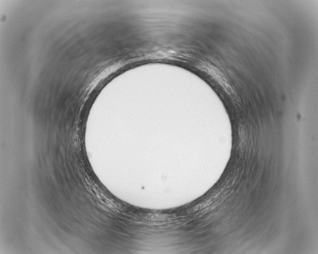 X0000086881308200705141400