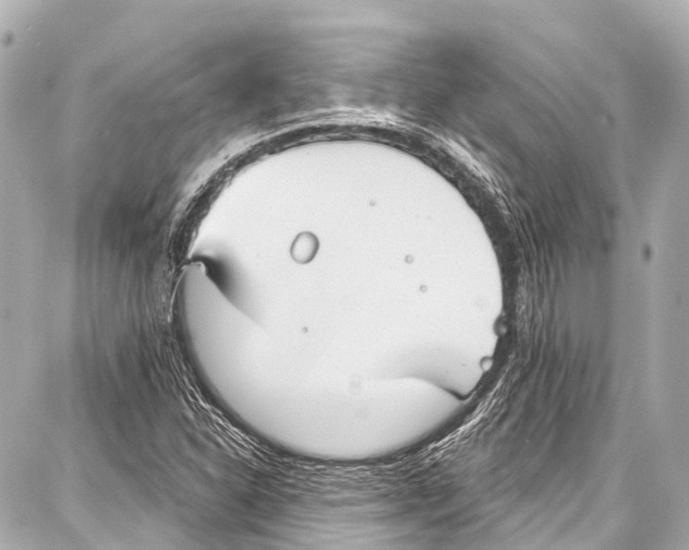 X0000086881310200705141400