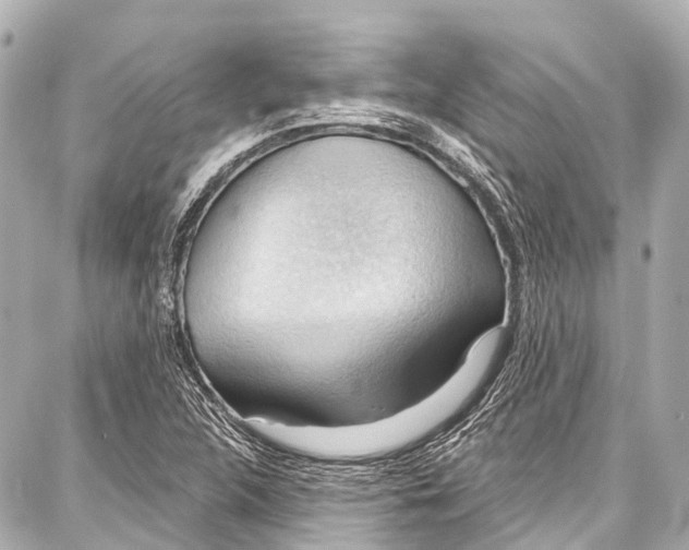 X0000086881312200705141400