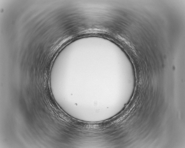 X0000086881313200705141400