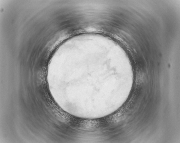 X0000086881314200705141400