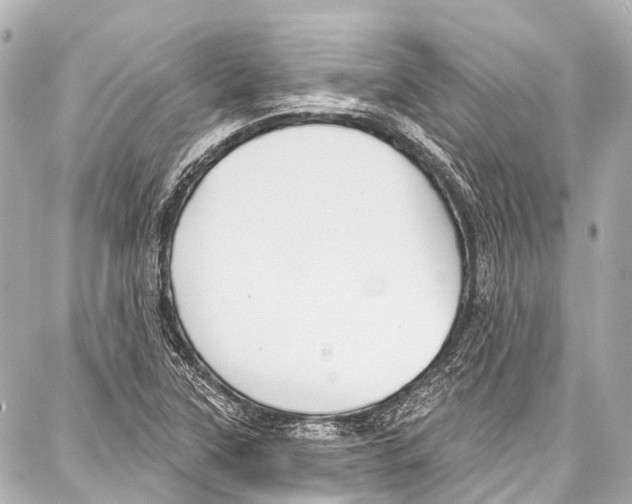 X0000086881315200705141400