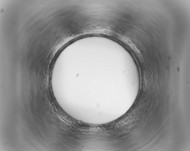 X0000086881316200705141400