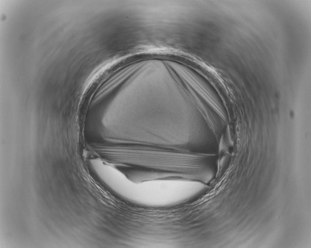 X0000086881319200705141400