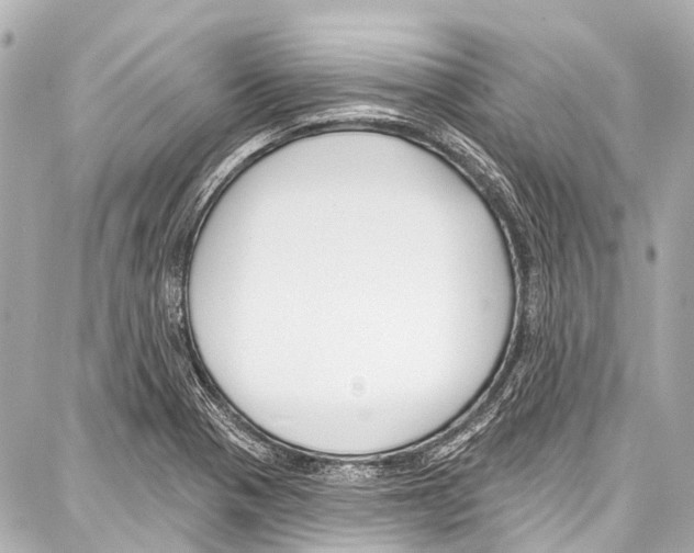 X0000086881321200705141400