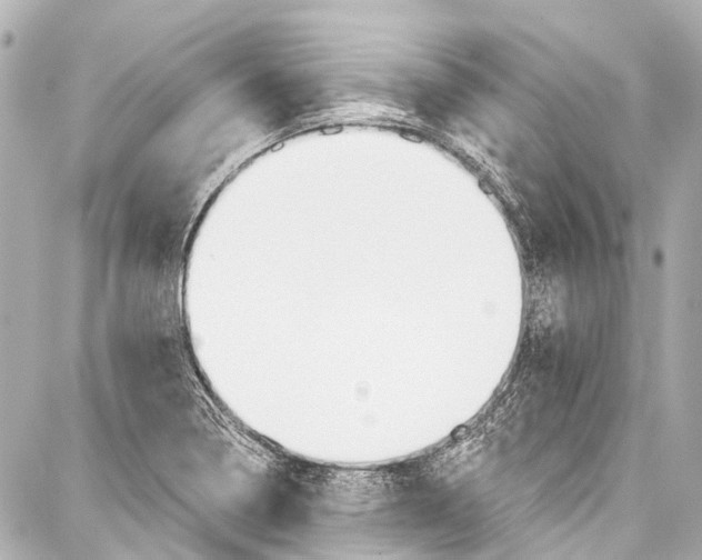 X0000086881322200705141400