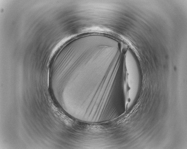 X0000086881323200705141400