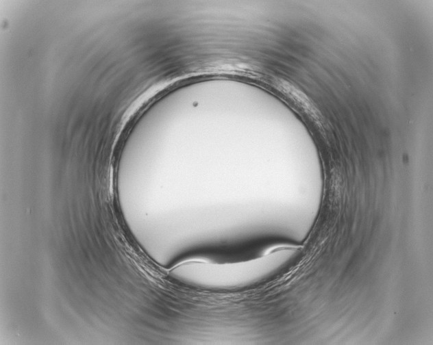 X0000086881324200705141400