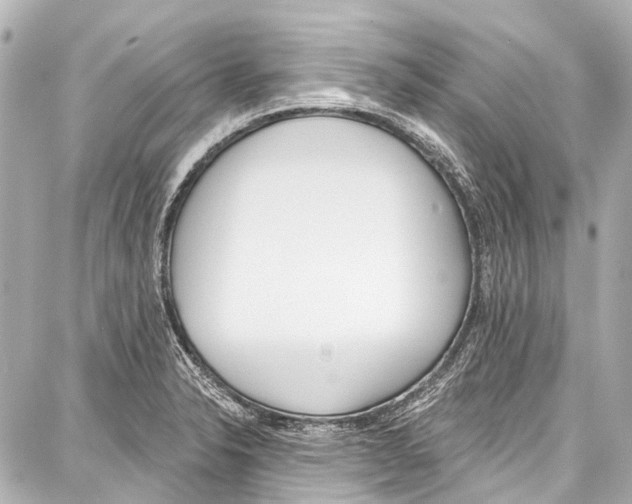 X0000086881326200705141400