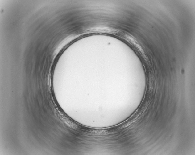 X0000086881328200705141400