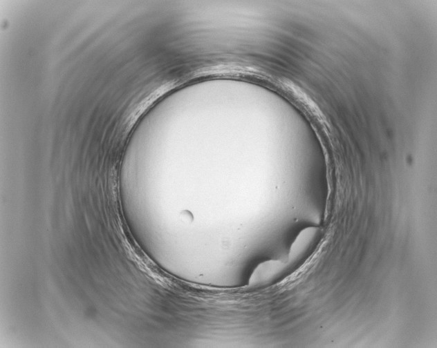 X0000086881329200705141400