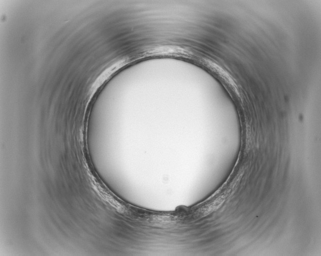 X0000086881330200705141400