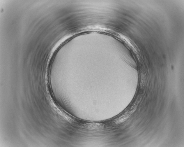 X0000086881331200705141400