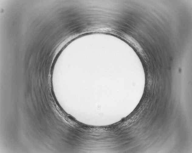 X0000086881332200705141400