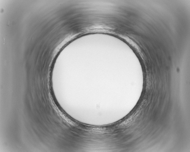 X0000086881333200705141401