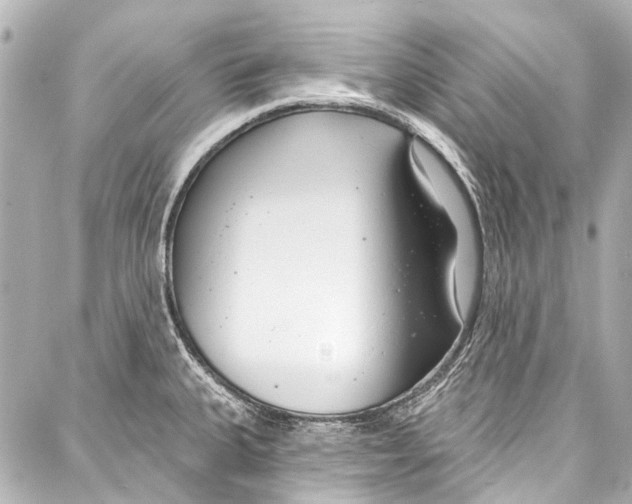 X0000086881335200705141401