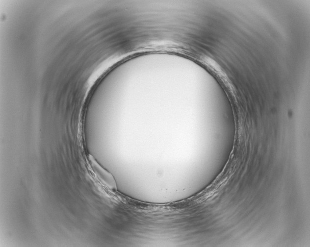 X0000086881336200705141401